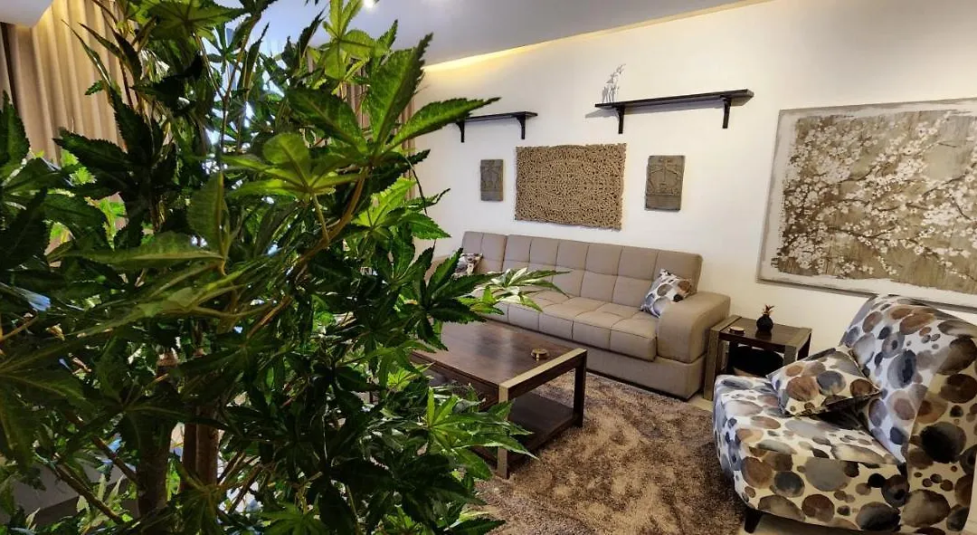 Luxurious For With A Stunning View